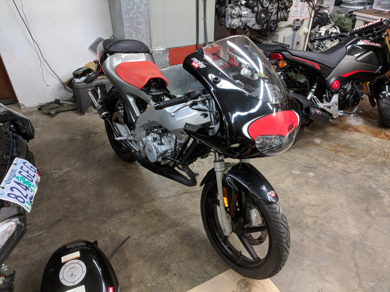 Illustration for article titled Aprilia Ownership: Day Two (with video)